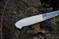 Hvid mammutkniv