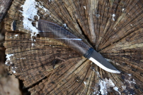 Lille brugskniv. Egetræ
