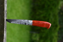Den røde kniv